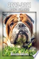 Télécharger le livre libro 2020-2021 Agenda Semainier Bulldog Anglais