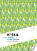 Télécharger le livre libro Brésil : Les Colères D'un Géant